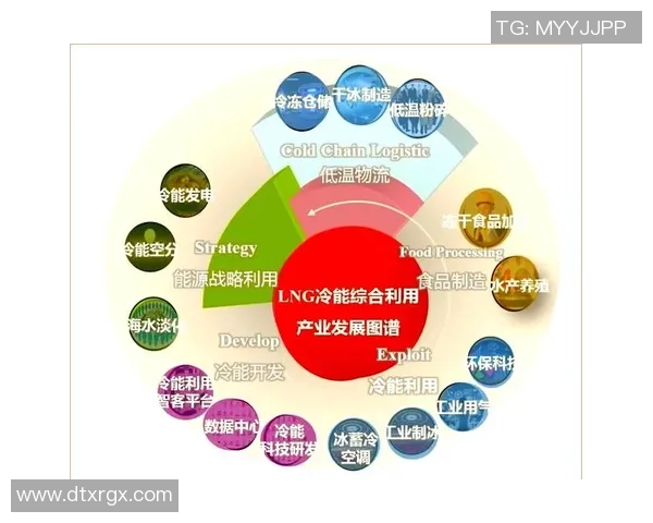 国际邀请赛特别报道：LNG如何在转型中重塑自我与未来发展路径